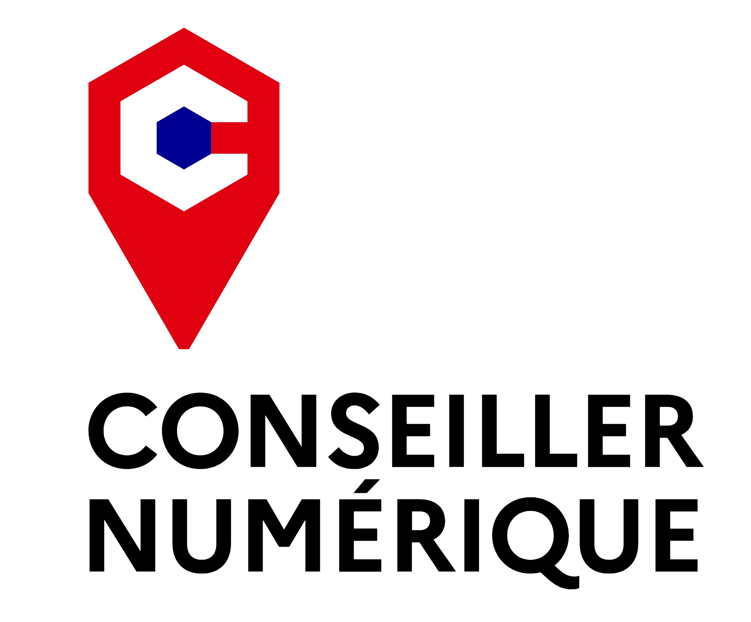 logo conseiller numerique