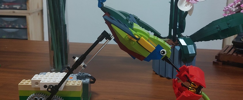 Atelier Lego ® : SOS oiseaux en danger