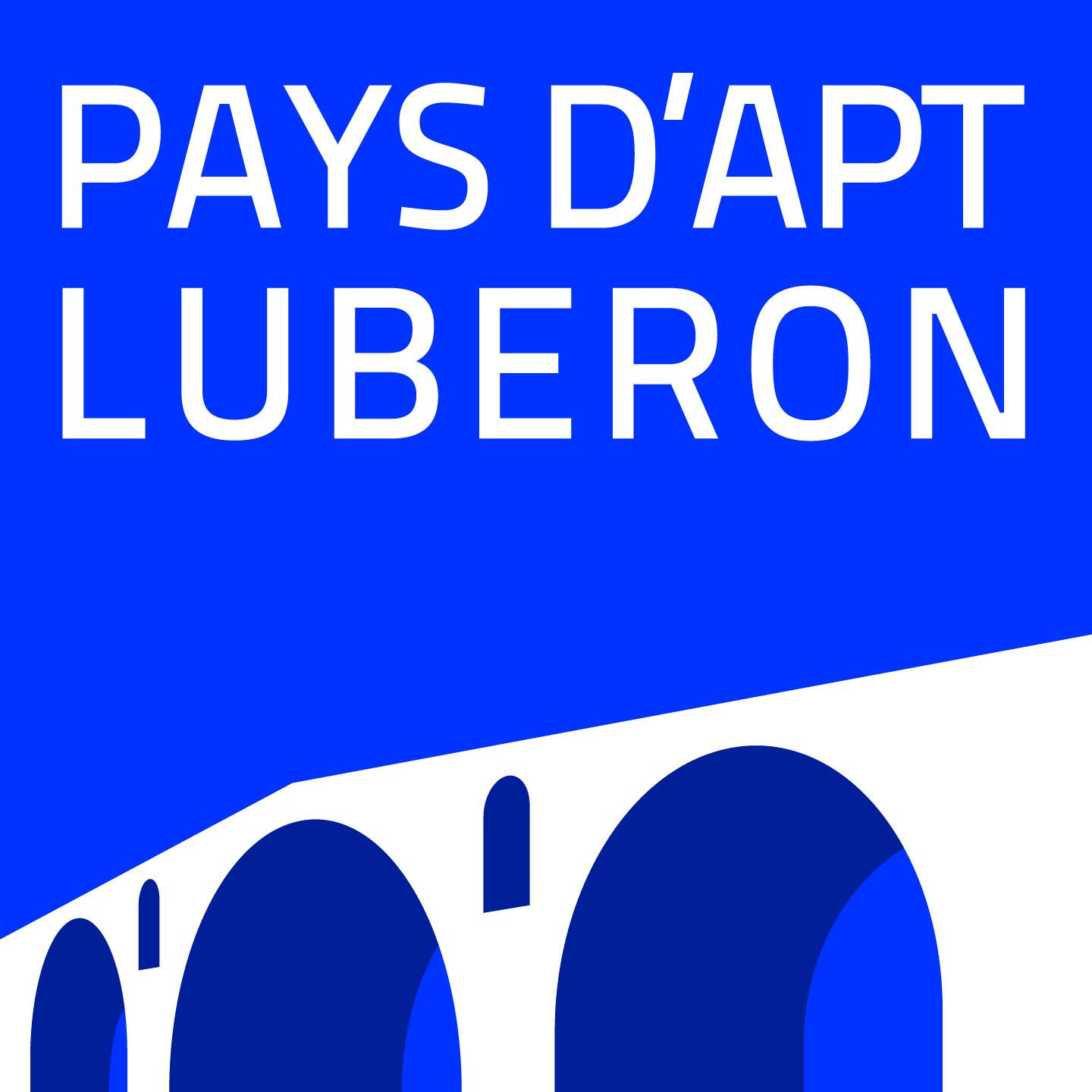 Logo CCPAL 2015 CMYN