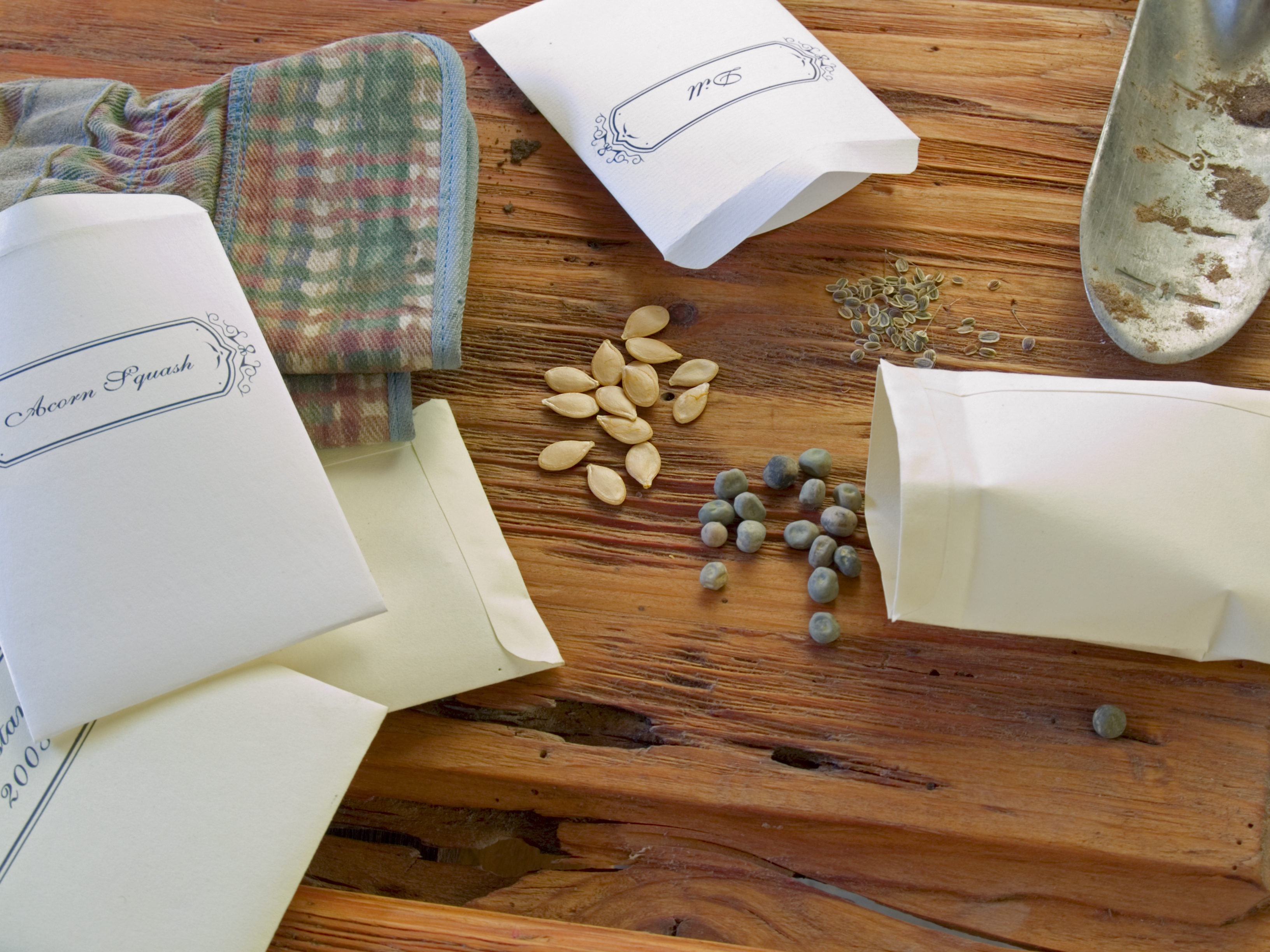 graines et pochettes en papier posés sur une table