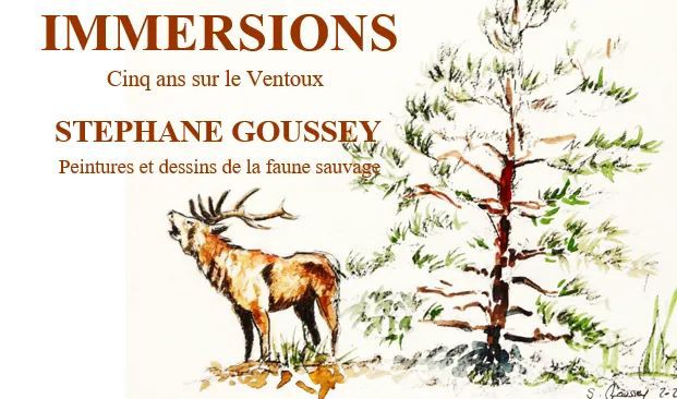 cerf arbre