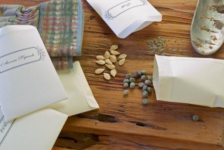 graines et pochettes en papier posés sur une table